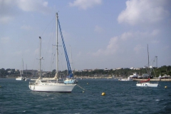 Al Mare Charter